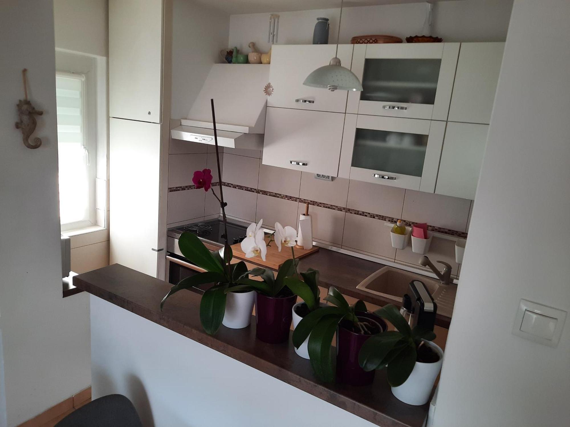 Apartments Anita Цриквеница Номер фото